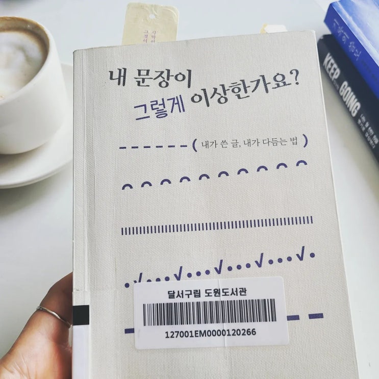  내 문장이 그렇게 이상한가요?