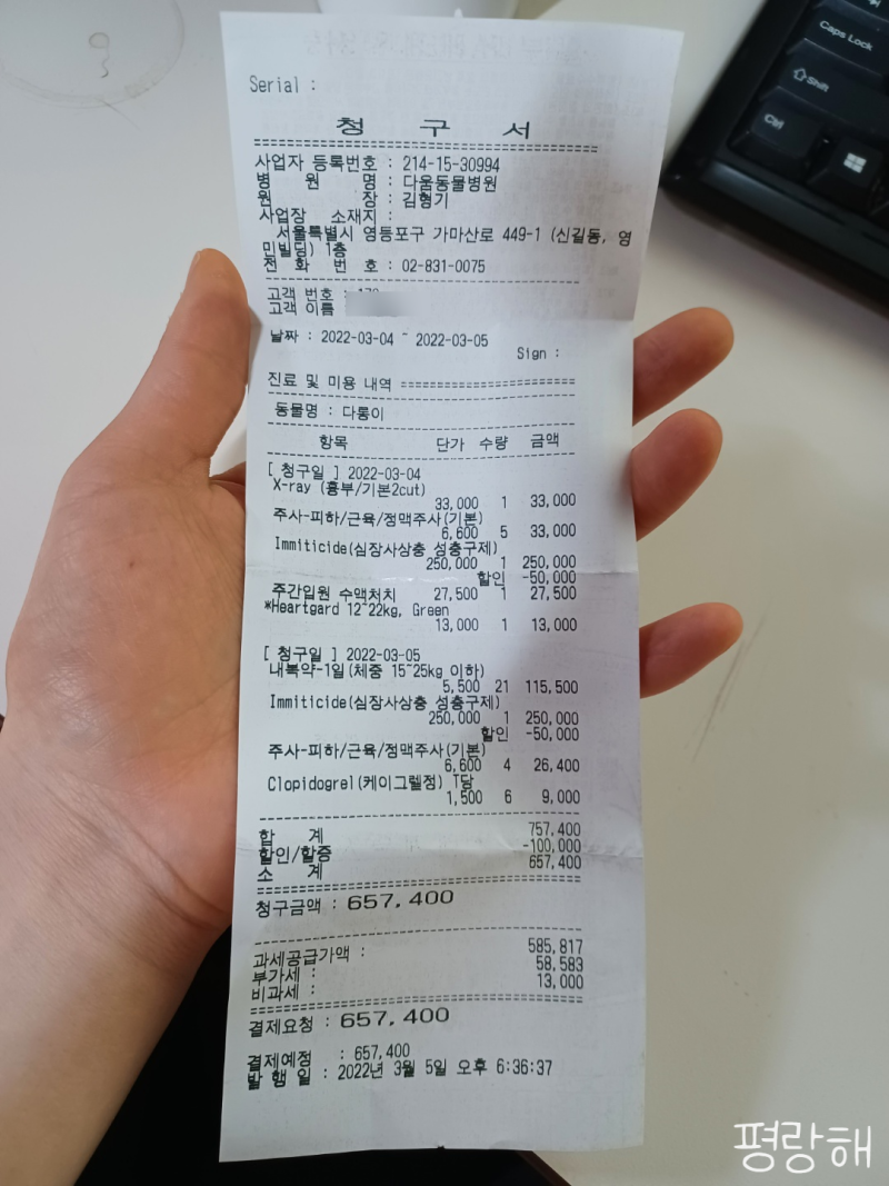 강아지 심장 사상충 주사 입원 비용과 세세한 후기(부작용 등) : 네이버 블로그
