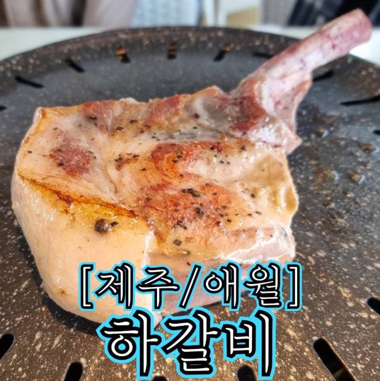  [제주/애월] 하갈비 - 그냥 평범한 고깃집1 로 보입니다.