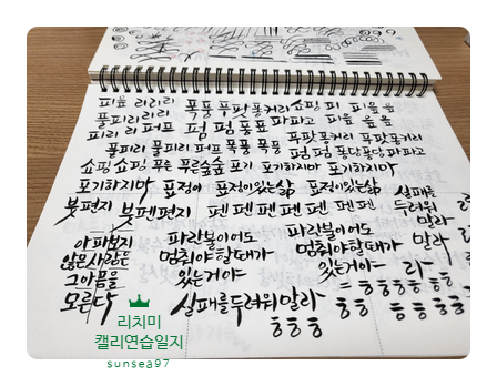  캘리연습일지