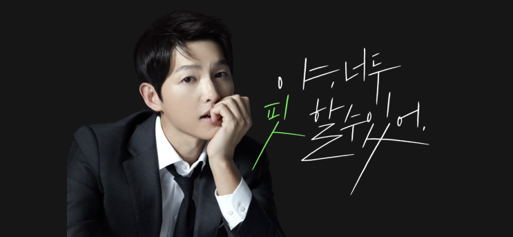  야핏 / 라이트 패키지 결제 후기