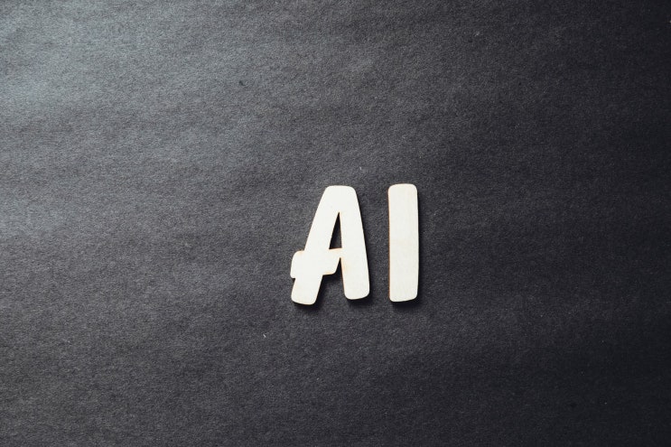 AI역량검사(AI면접) AI역량검사(AI면접)