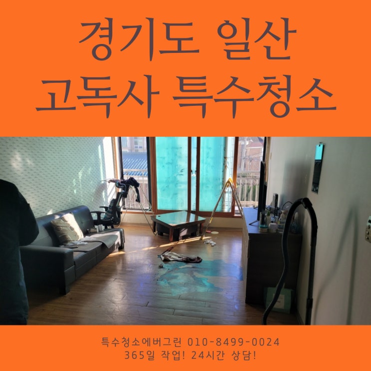  일산 고독사 특수청소 -13평 빌라 특수청소