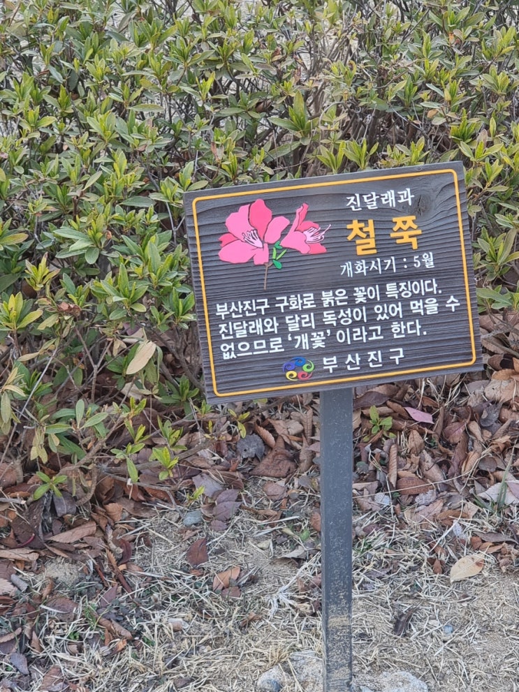  산책 코스