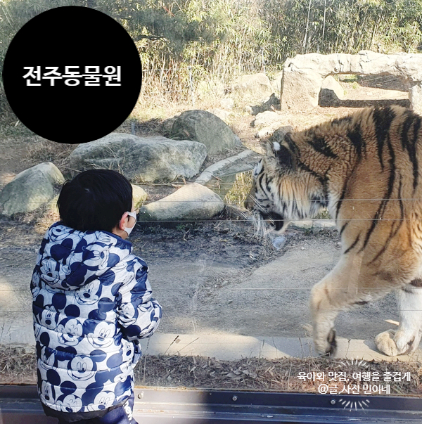  다시 찾은 전주동물원 전주 가볼만한 곳 추천!