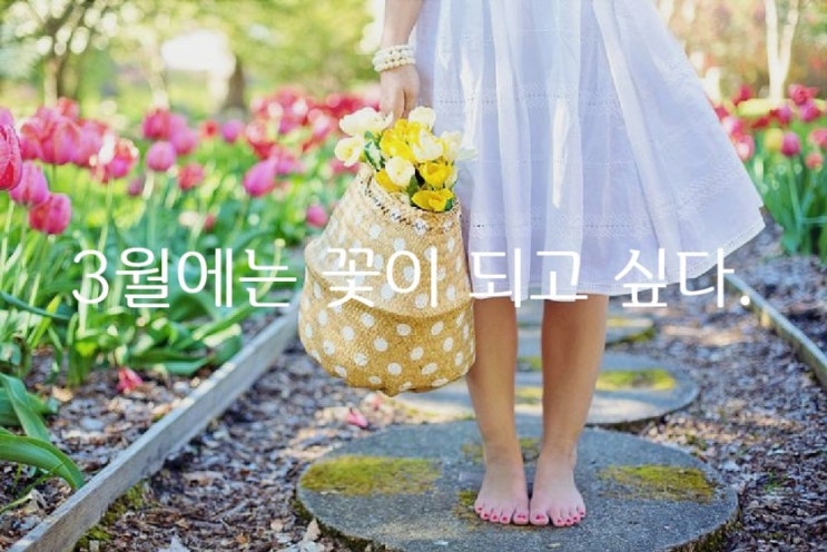  3월에는 꽃이 되고 싶다 - 윤보영 -