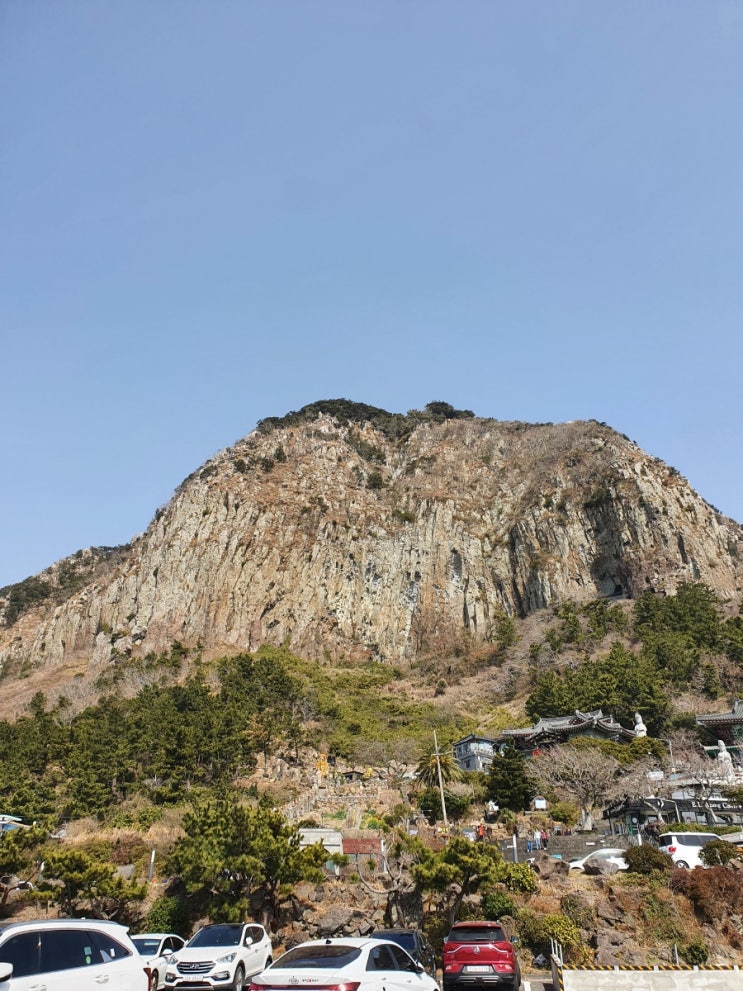  [찐후기] 봄날의 제주 신혼여행 / 가장 좋았던 3개 장소 추천_ 산방산 유채꽃밭, 돌고래떼, 쇠소깍(깡통열차&카약)