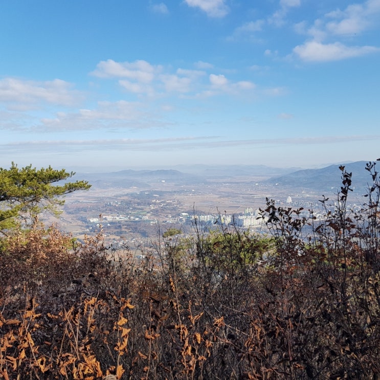  겨울 장호원 백족산