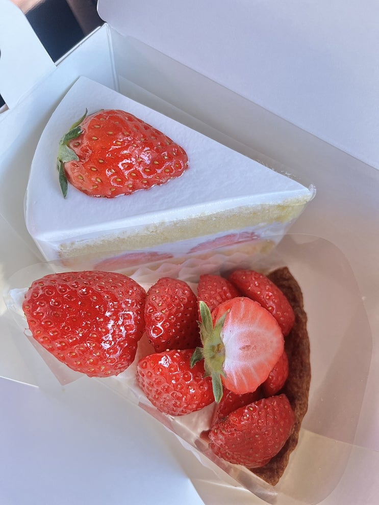 여수 달달한 딸기케이크, 솔레일