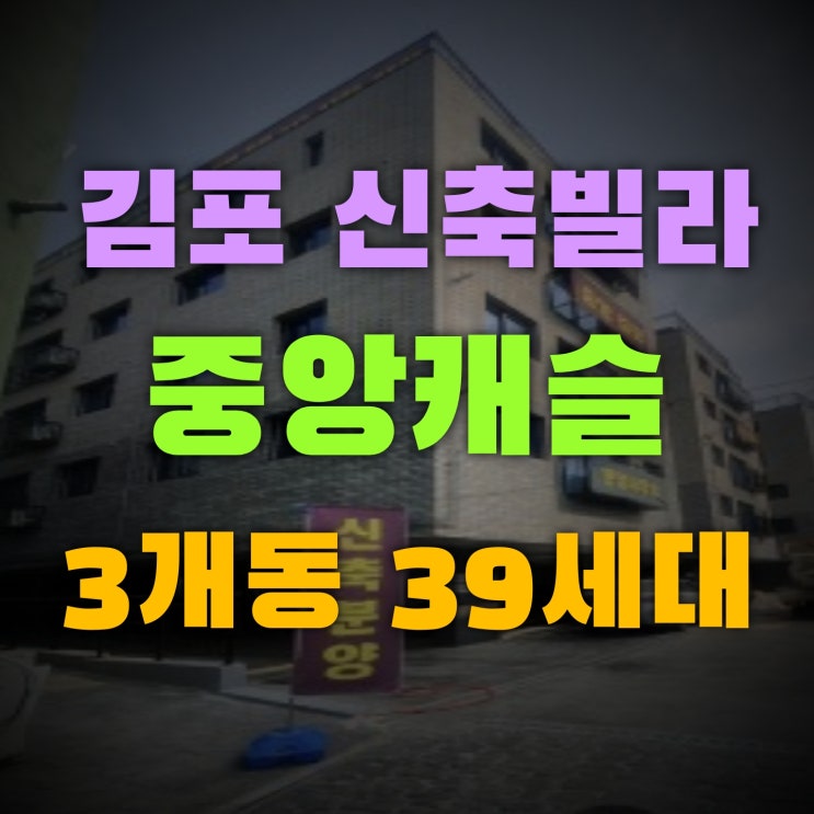  단지형신축빌라 김포 중앙캐슬 3개동 39세대 구경해요
