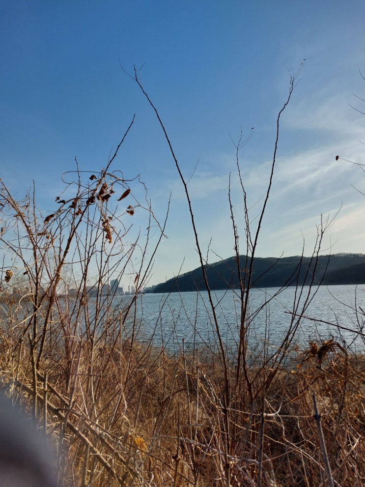 용인 갈만한곳 기흥호수공원 용인8경 산책하기 좋은 호수 둘레길 용인 갈만한곳 기흥호수공원 용인8경 산책하기 좋은 호수 둘레길
