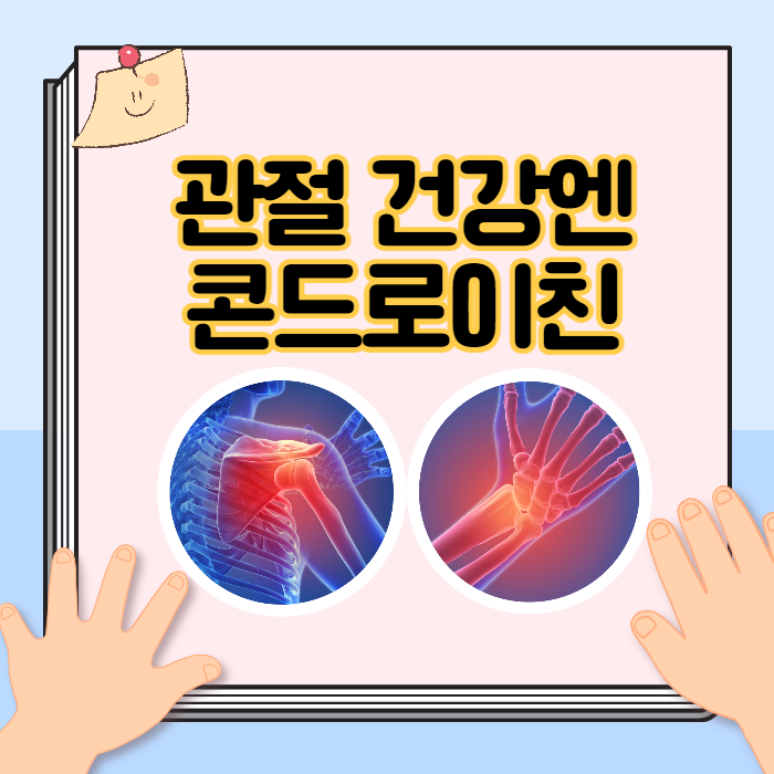 관절건강 콘드로이친 효능과 섭취법 관절건강 콘드로이친 효능과 섭취법