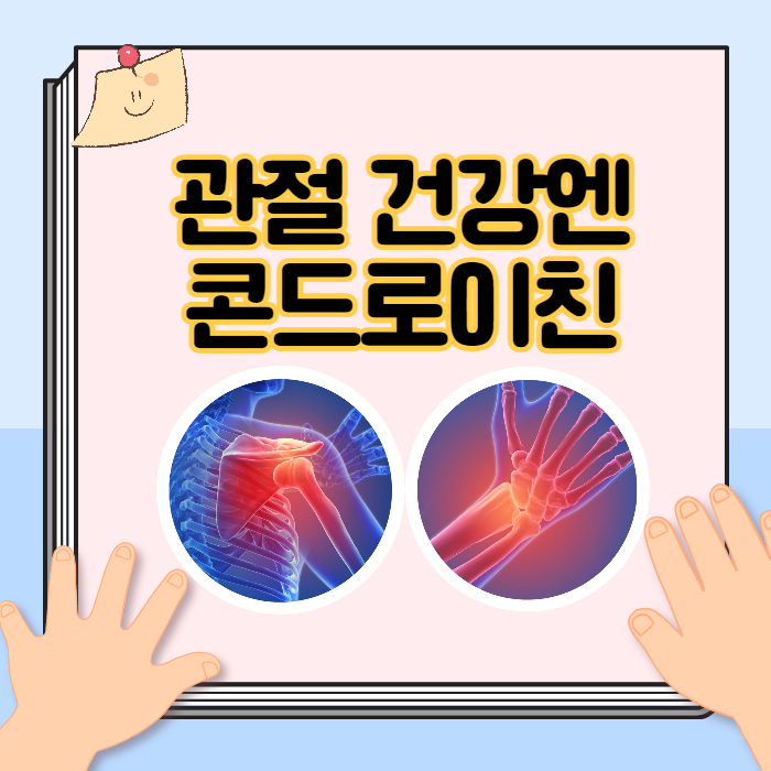 관절건강 콘드로이친 효능과 섭취법