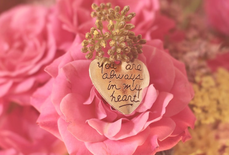 My heart will go on My heart will go on