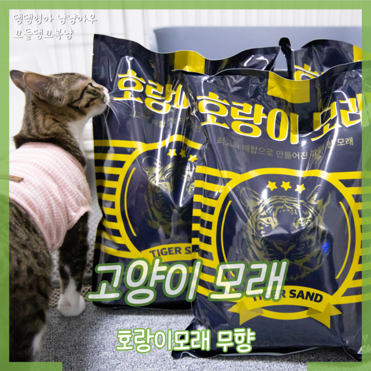  고양이 벤토나이트 호랑이 모래 응고력에 가성비까지