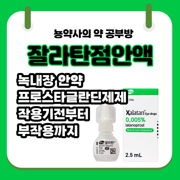  [뇽약사] 녹내장 안약, 잘라탄 점안액 (라타노프로스트) 프로스타글란딘 제제 작용기전부터 부작용까지