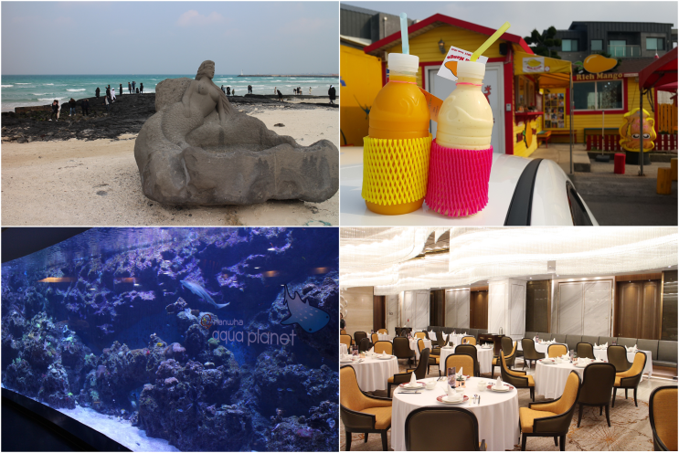 [제주도 여행 : 2일차 (2019.01)] 협재해수욕장, 리치망고 애월본점, 아쿠아플라넷 제주, 르쉬느아