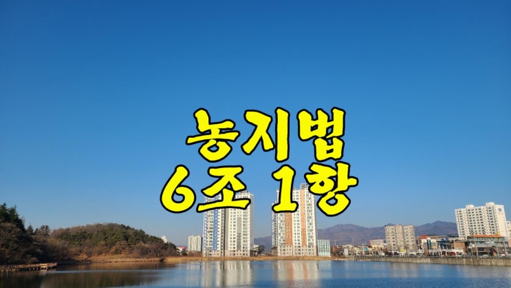 (<b>경자유전</b>의 원칙) 농지법 6조 1항 농지 소유제한과 소유상한제