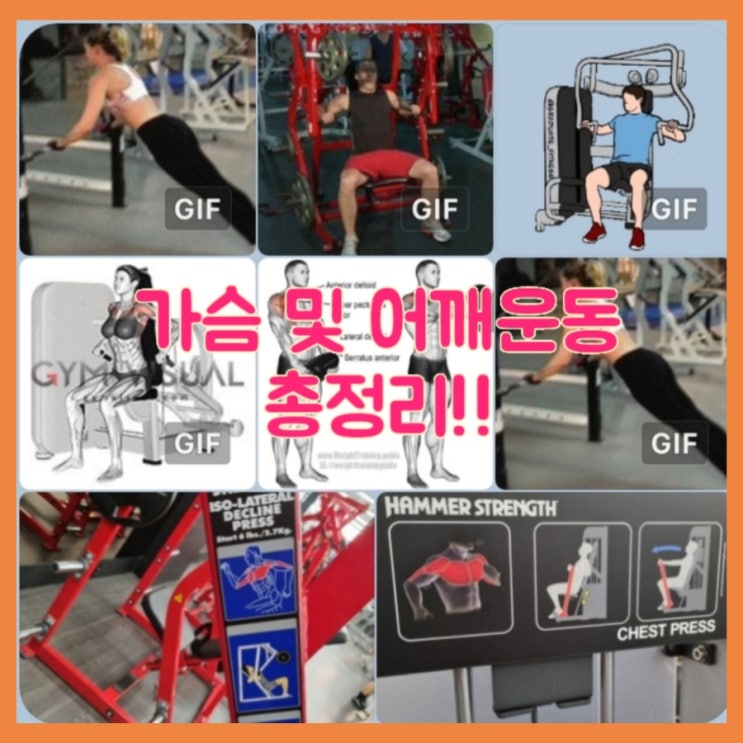 여태까지 배운 가슴 및 어깨운동 모음
