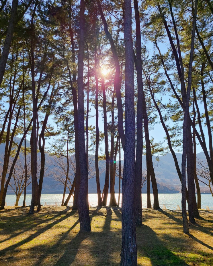  도시락 싸들고 하동 드라이브 (읍천리382, 하동 포구공원, 동정호 생태습지)