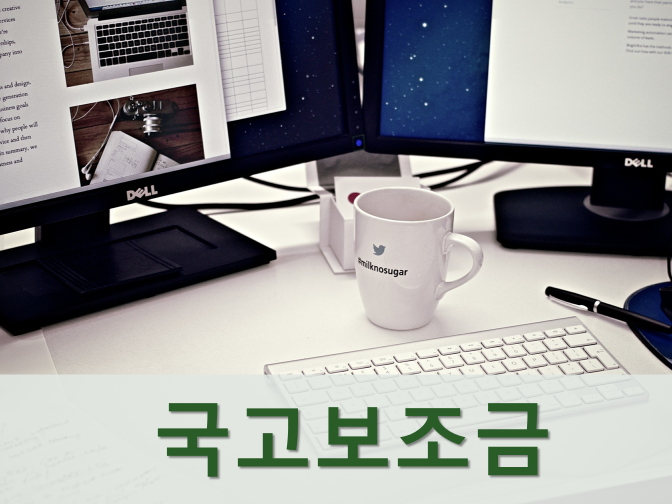  국고보조금 종류와 회계처리