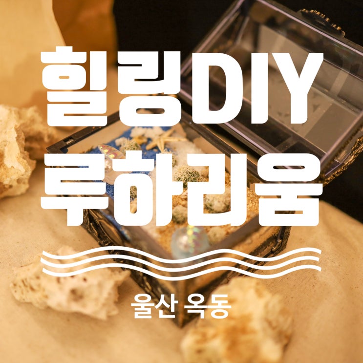  테라리움 DIY 루하리움 원데이클래스도 있어요