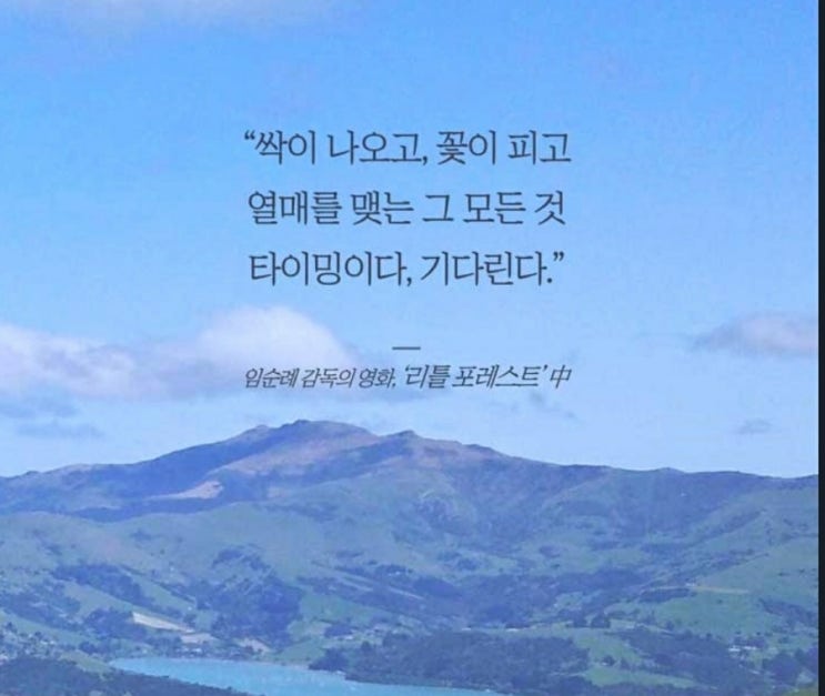  부거사이 [부동산 뉴스와 블로그] 3월 11일(금)