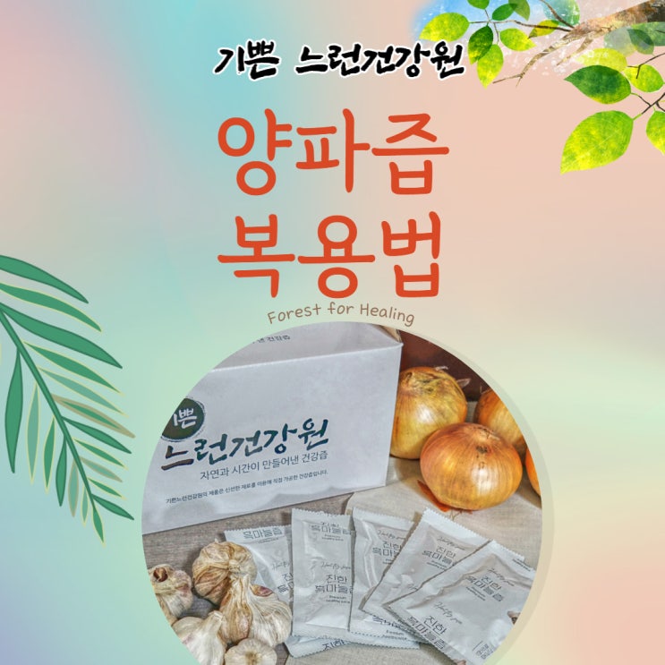  양파즙 복용법과 양파 싹 먹는 방법