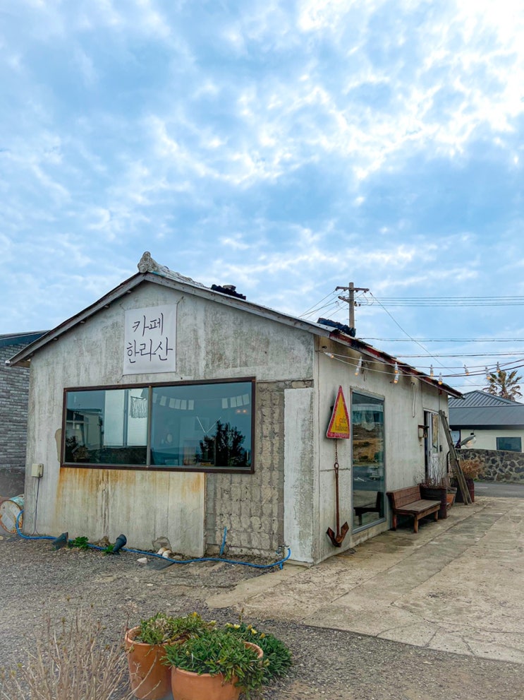 [제주도 세화 가볼 만한 곳] 하도리 뷰를 담은 '카페 한라산'