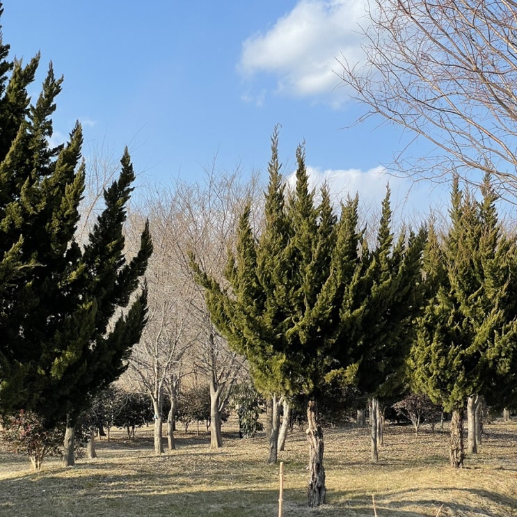  Day2. 간헐적 단식?