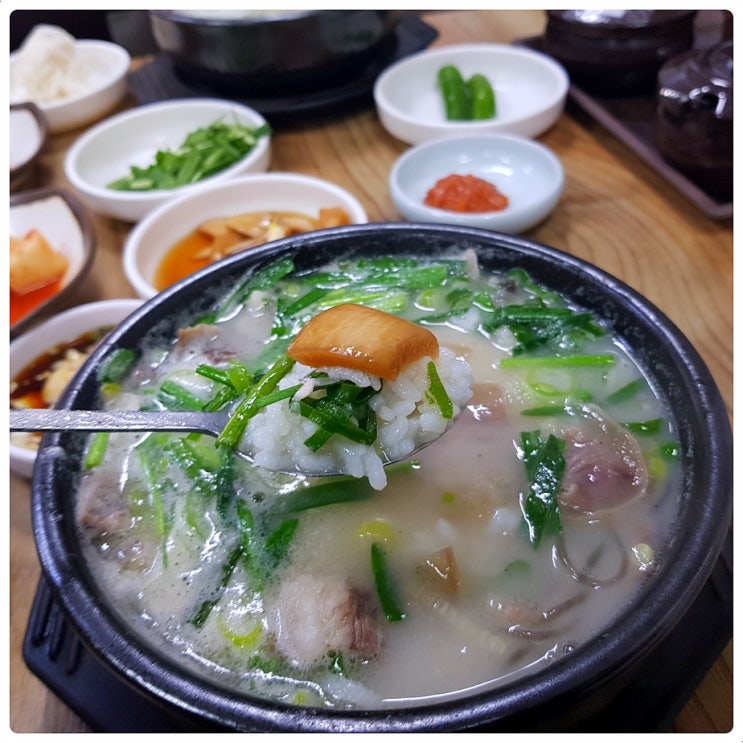  제주도 국내맛집여행 서귀포 하효동국밥 추천 하효소머리국밥