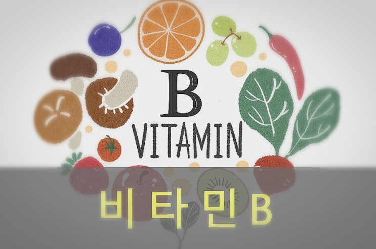  비타민B군( 컴플렉스)중 티아민, B2, 나이아신, B5 효능과 부작용, 음식