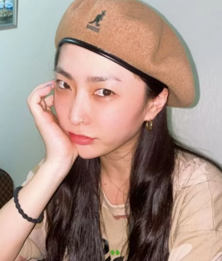 허니제이 차, 프로필, 엄마, 나이, 재산 허니제이 차, 프로필, 엄마, 나이, 재산
