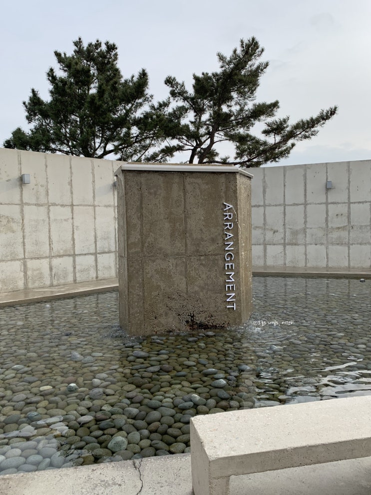  포항 어레인지먼트 오션뷰 카페 추천, 포항 핫플 북구 예쁜 카페 솔직후기
