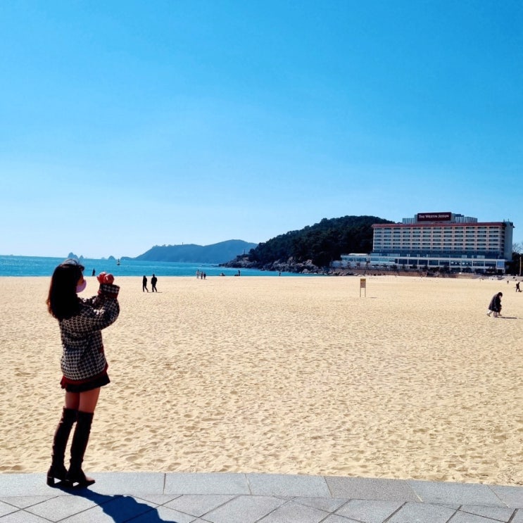  해운대 일출보며 먹는 웨스틴조선 부산 조식 뷔페 까밀리아 이용시간 가격 꿀팁