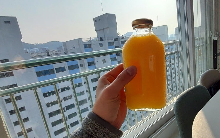  델몬트 물병 500ml, 옛날 감성 제대로네 :D