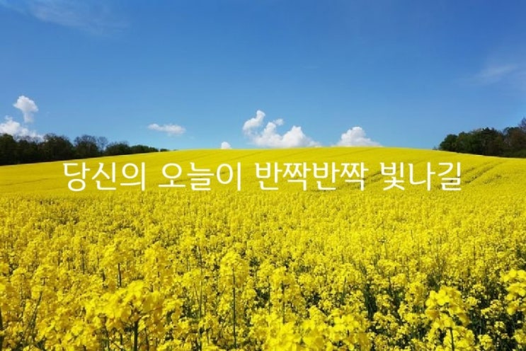  당신의 오늘이 반짝반짝 빛나길 - 조미하 -