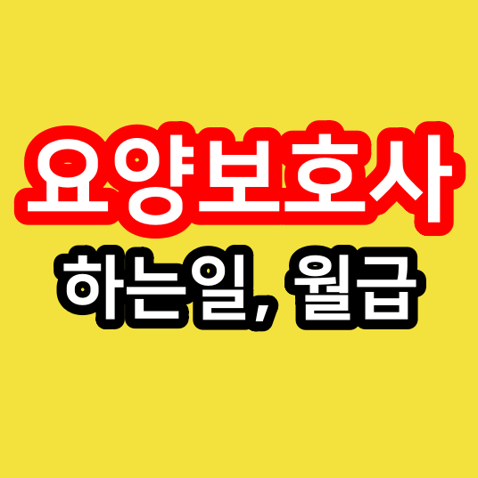  요양보호사 하는일, 월급 정리