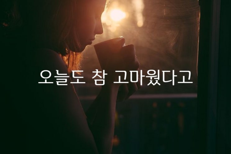 오늘도 참 고마웠다고 - 김유은 -