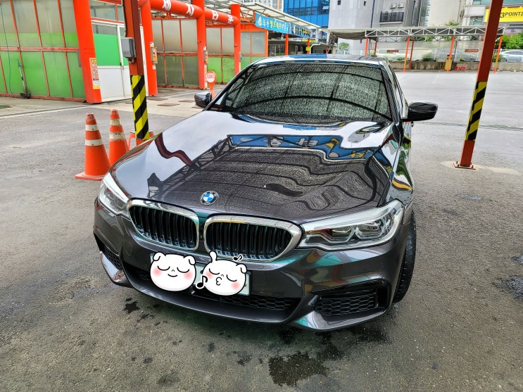  [G30 530i] 구입기 및 소소한 첫 튜닝 - 카본 키드니그릴, 에어브리더, 리어스포일러 셀프장착