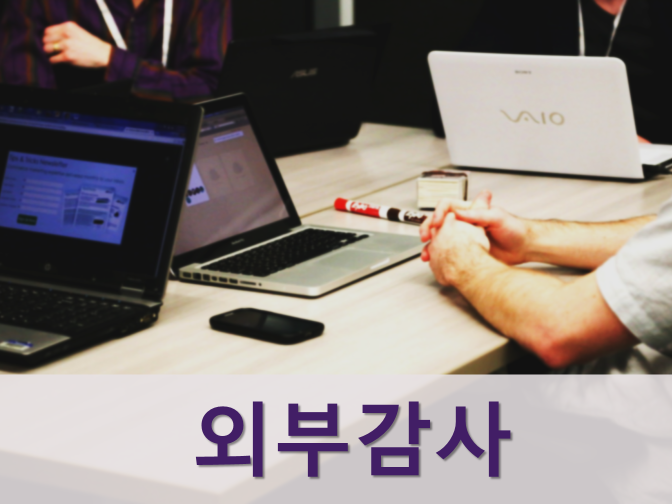  외부감사제도 및 주기적 지정대상 회사