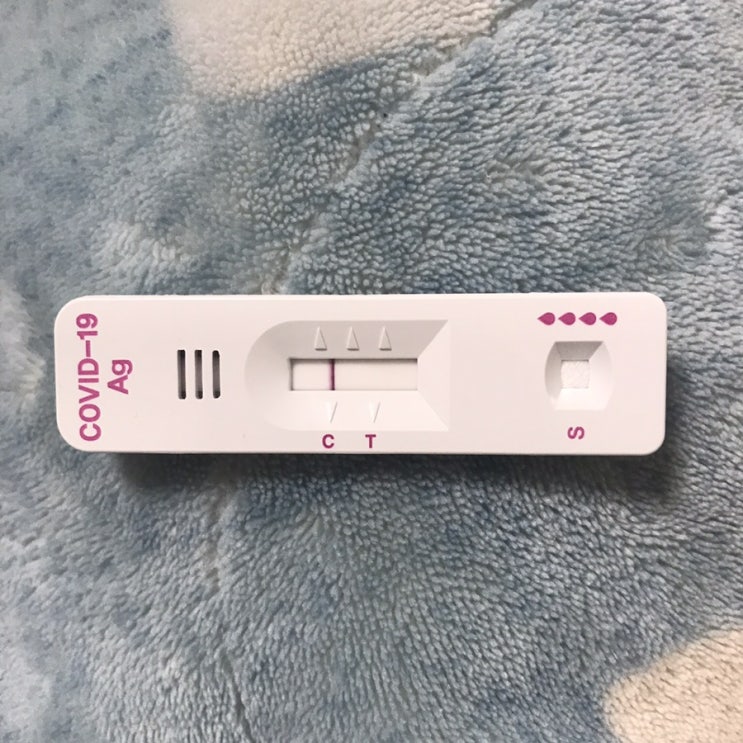  [일상] 퇴사일기 #7 : 코로나 동거인이 되어 5일을 보낸 후기
