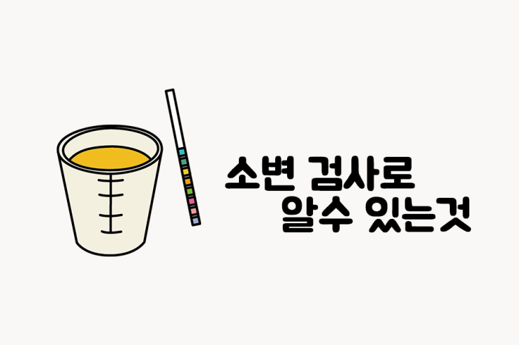  소변 검사로 알수 있는것