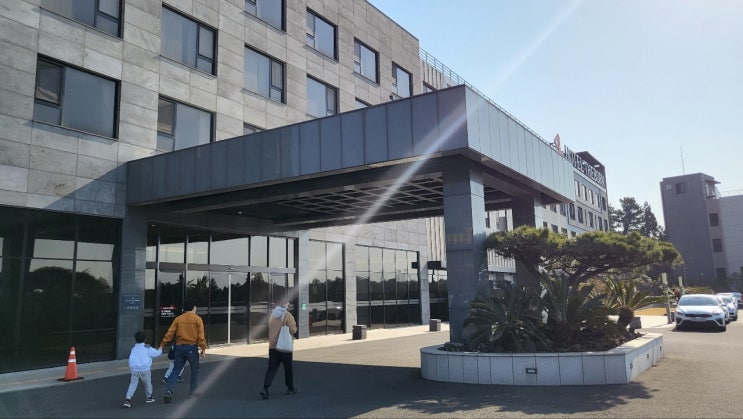  제주 가성비 호텔, 더본호텔 탐모라 뷔페 소개
