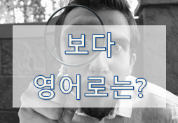  [영어 유의어] '보다/바라보다' - 영어로 어떻게?