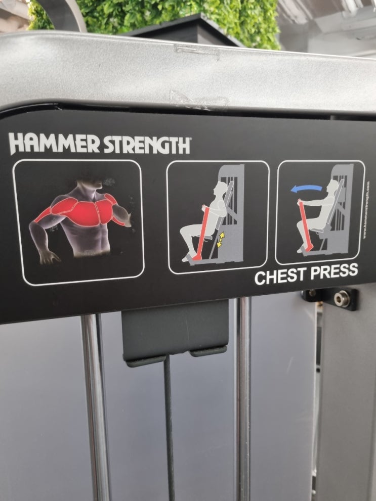  [운동일지] 불광 에이블짐 개인PT - 17회차 (가슴운동, CHEST PRESS,DECLINE PRESS, 푸쉬업)
