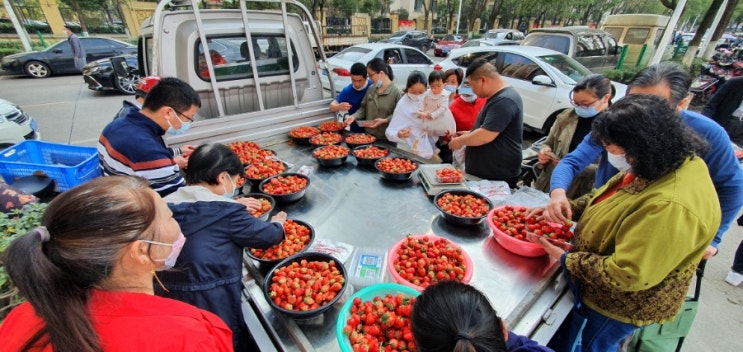 중국 우한에서 주말 시장 가는길에서 딸기 트럭을 만나다.