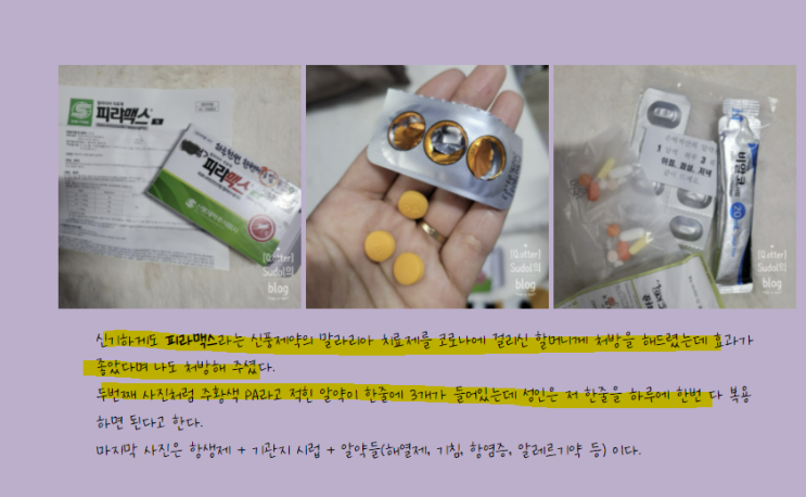 코로나치료제 피라맥스 처방사례가 늘고있다! (어게피 #209) 코로나치료제 피라맥스 처방사례가 늘고있다! (어게피 #209)