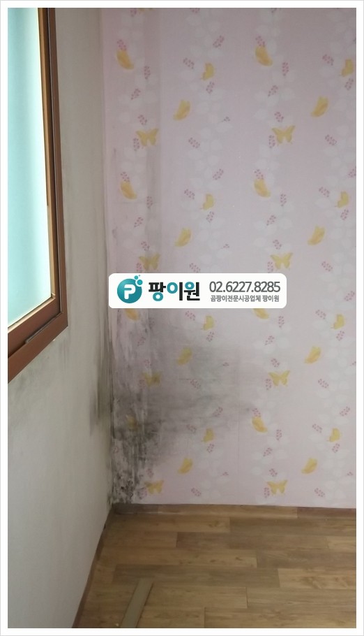  벽 곰팡이 방지 및 냄새 차단 - 장마철 대비 하자!