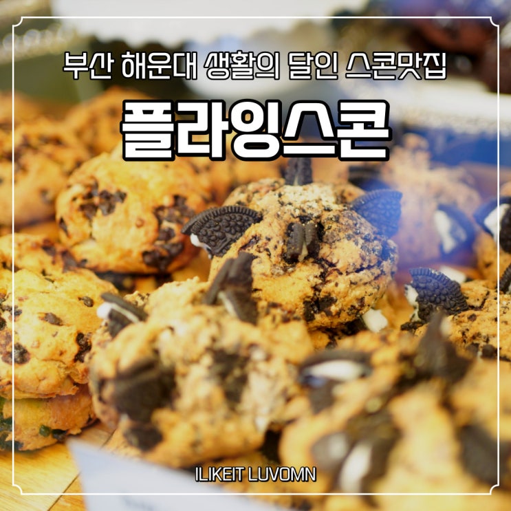  부산 해운대 빵집 빵지순례 가보자고 플라잉스콘